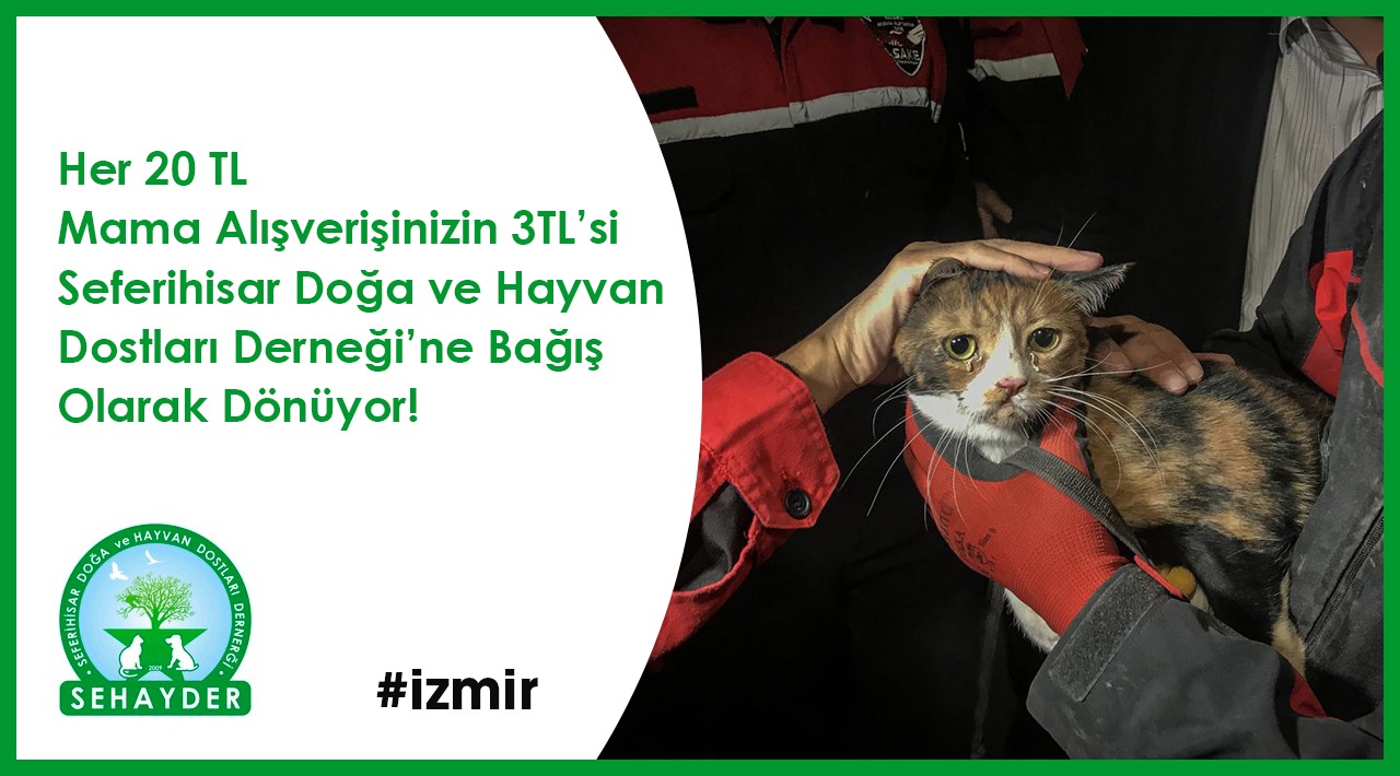 20 TL ve Üzeri Mama Alışverişinize kampanyası