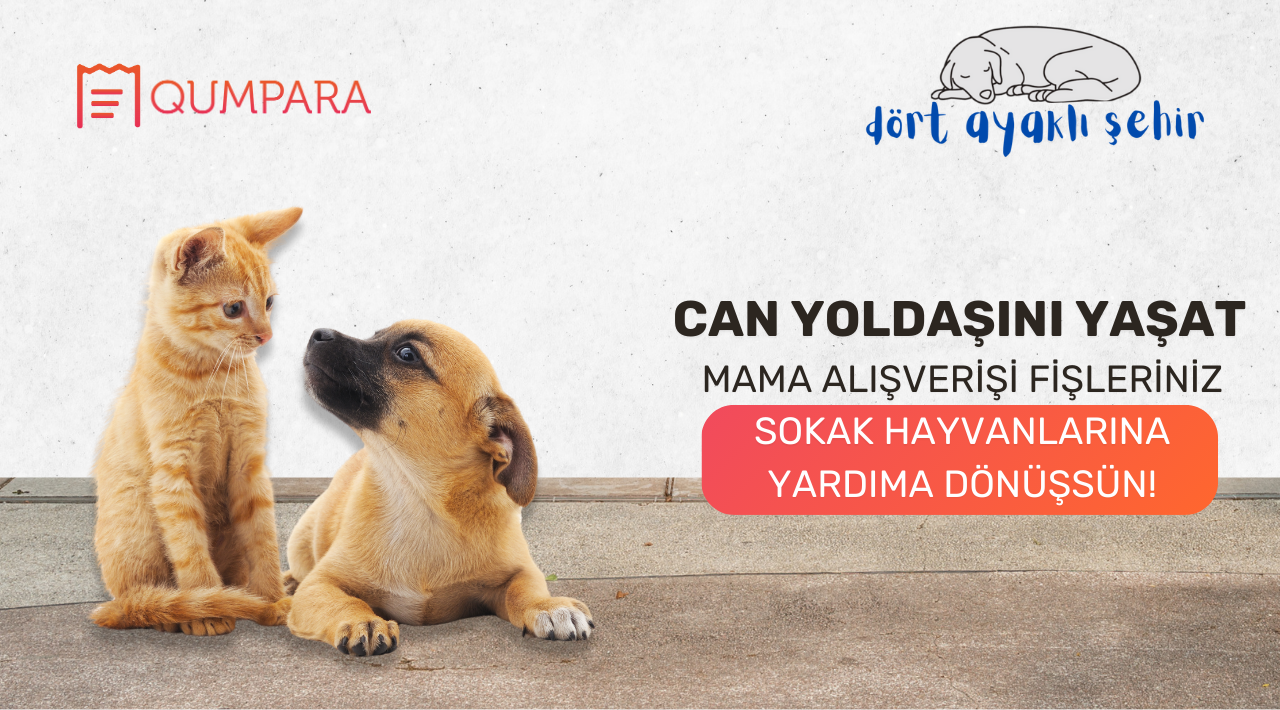 500 TL ve üzeri Mama Alışverişinize kampanyası