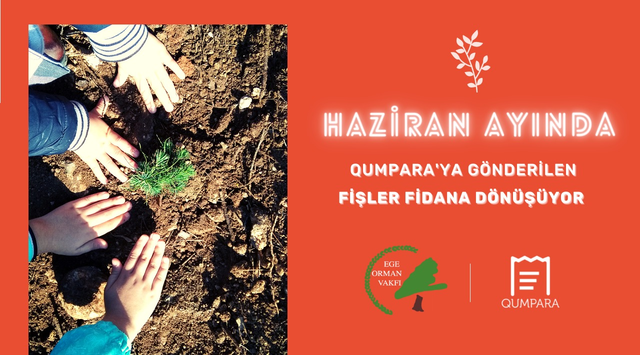 Ege Orman Vakfı kampanyası