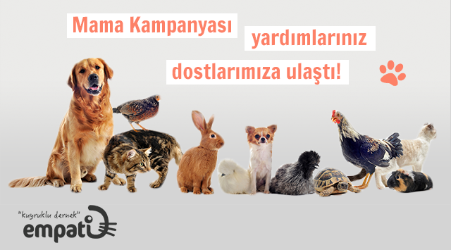 20 TL ve Üzeri Mama Alışverişinize kampanyası